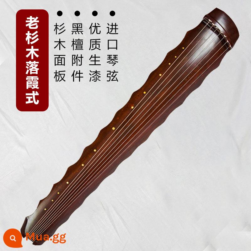 Han luật guqin Fuxi Zhongni phong cách chơi thuần túy thủ công linh sam cũ hỗn loạn đàn piano thực hành bảy dây dành cho người mới bắt đầu - Phong cách hoàng hôn linh sam cũ được làm hoàn toàn thủ công + bộ phụ kiện đầy đủ