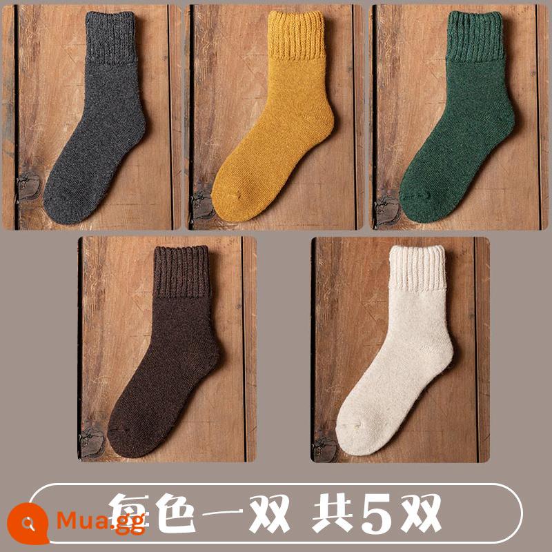 Tất dành cho nữ trong mùa thu đông tất cotton dài ấm áp bằng nhung dành cho nữ Tất dài đến giữa bắp chân cho nữ Đôi tất có đáy khăn bông mùa đông - [5 đôi] 3350-83 Mỗi màu 1 đôi