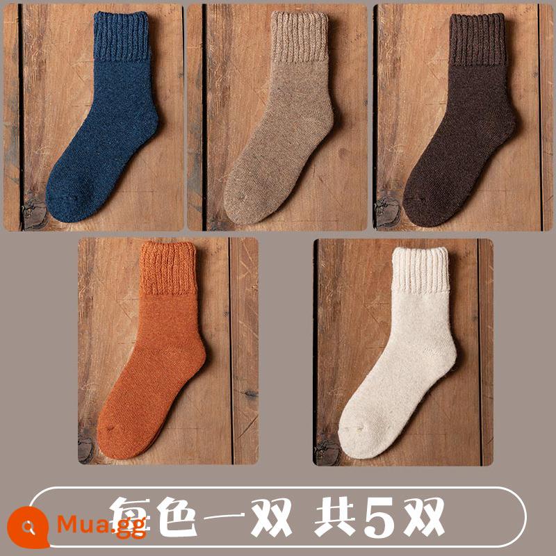 Tất dành cho nữ trong mùa thu đông tất cotton dài ấm áp bằng nhung dành cho nữ Tất dài đến giữa bắp chân cho nữ Đôi tất có đáy khăn bông mùa đông - [5 đôi] 3350-82 Mỗi màu 1 đôi