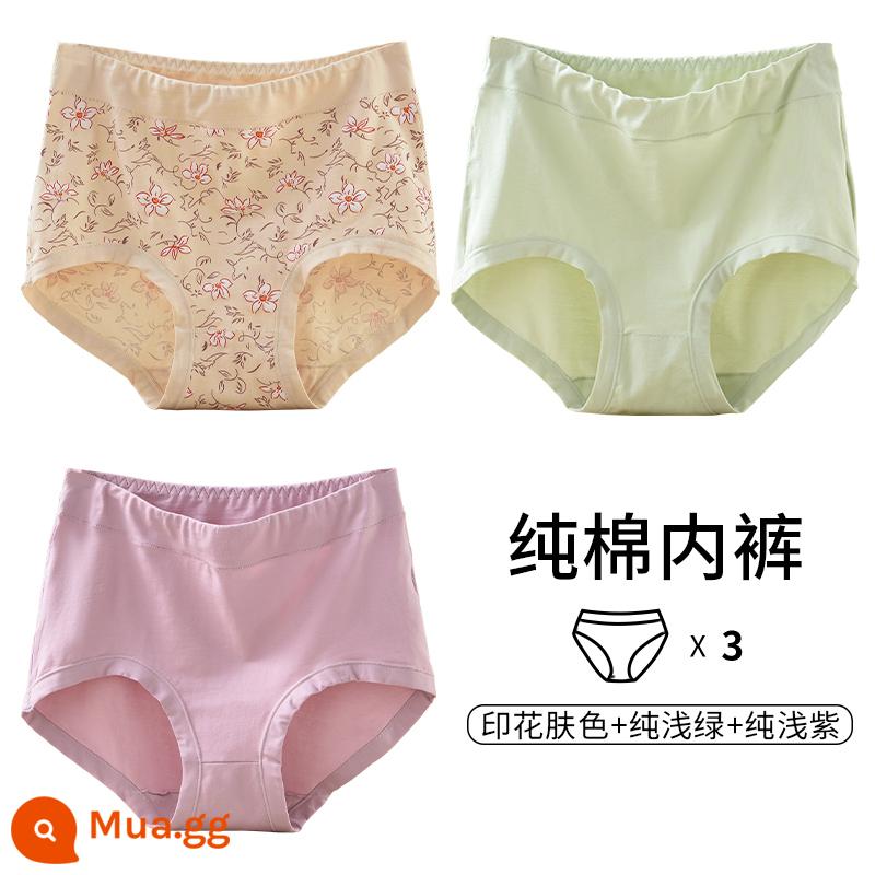 Quần lót của mẹ vải cotton nguyên chất lưng cao cỡ lớn đồ lót tam giác dành cho người trung niên và người già dành cho phụ nữ và người già quần short cotton rộng rãi - [3 món] Màu da in + xanh nhạt thuần + tím nhạt thuần