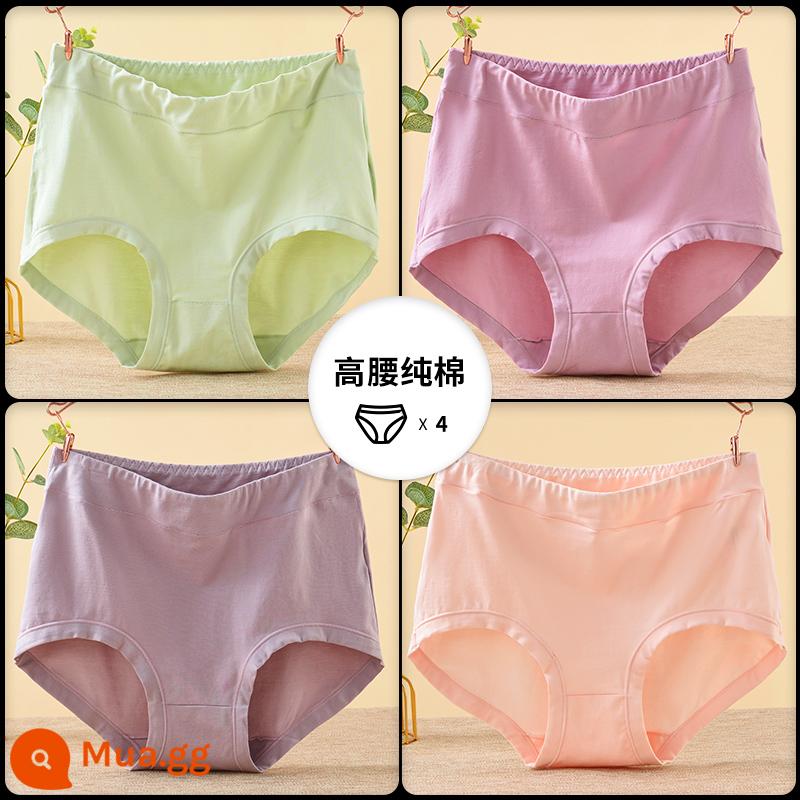 Quần lót của mẹ vải cotton nguyên chất lưng cao cỡ lớn đồ lót tam giác dành cho người trung niên và người già dành cho phụ nữ và người già quần short cotton rộng rãi - [4 món] Xanh nhạt thuần khiết + Tím nhạt thuần khiết + Khoai môn thuần khiết + Mai thuần khiết