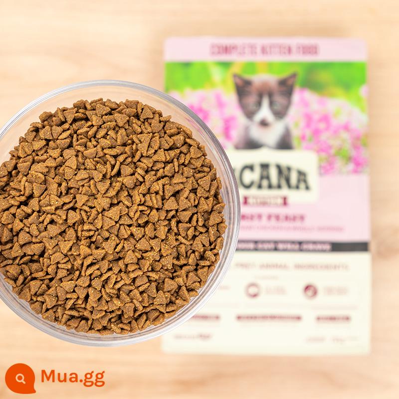 ACANA thích ăn thức ăn cho mèo con bữa đầu nhập khẩu Canada dinh dưỡng vỗ béo lông mang 1.8kg thức ăn chủ yếu cho mèo - Bữa ăn đầu tiên cho mèo con 500g (Gói dùng thử)