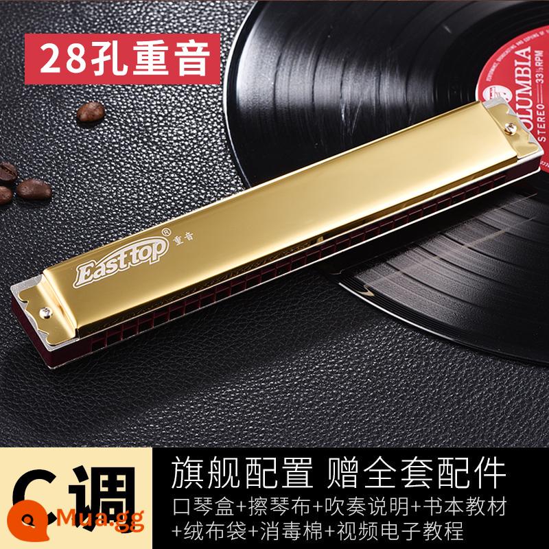 Kèn harmonica 28 lỗ 28 lỗ, kèn harmonica sậy phương Đông, cao cấp T28-1, đa âm đẳng cấp trình diễn chuyên nghiệp, giai điệu #CABDEFG - 28 lỗ nhấn vàng [Tone C] + trọn gói quà tặng