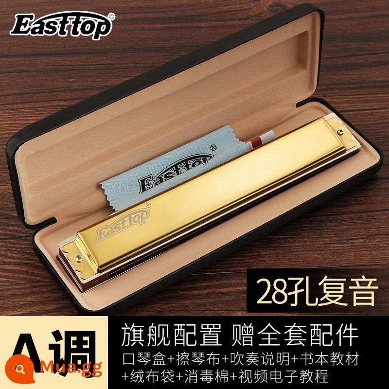 Kèn harmonica 28 lỗ 28 lỗ, kèn harmonica sậy phương Đông, cao cấp T28-1, đa âm đẳng cấp trình diễn chuyên nghiệp, giai điệu #CABDEFG - Vàng đa âm 28 lỗ [phím A]