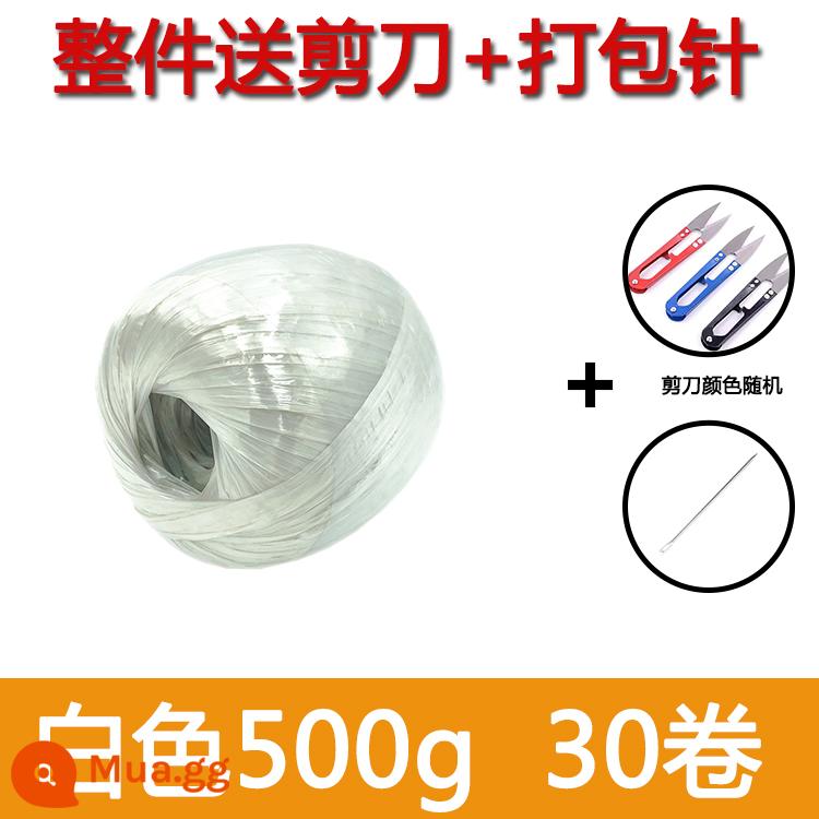 Thương hiệu vật liệu mới dây đóng gói dây nhựa đóng gói dây ràng buộc dây cỏ dây nylon dây ràng buộc miệng dây ràng buộc acrylic dây bóng cỏ - Chất liệu hoàn toàn mới, màu trắng 500g, 30 cuộn kèm kim + kéo, các màu khác theo yêu cầu