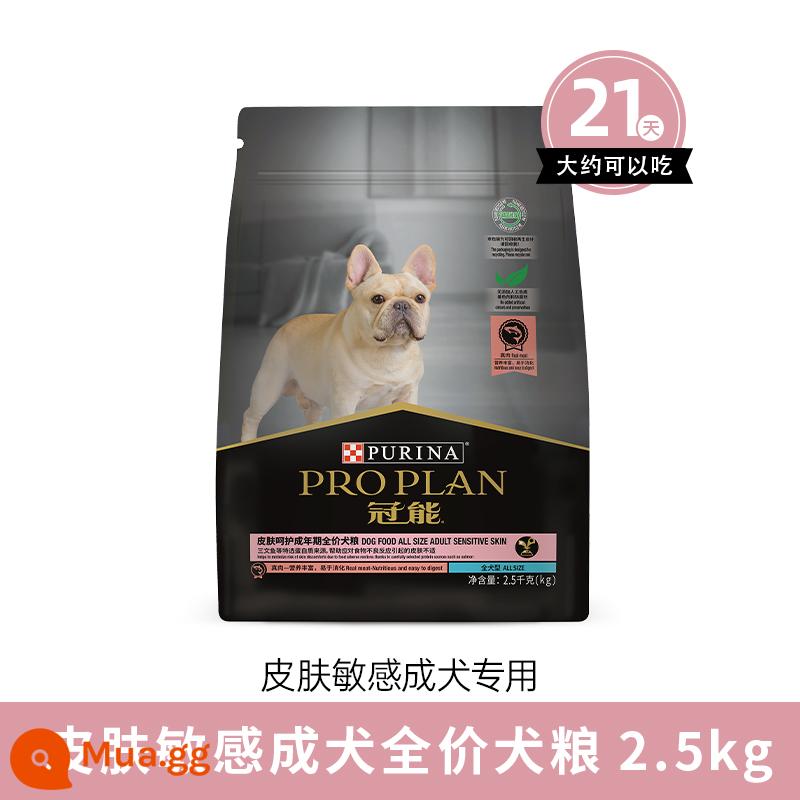 Thức ăn cho chó Guanneng cho chó nhỏ kén ăn lông đẹp chó trưởng thành bichon corgi thức ăn cho chó Teddy Special Dog Food 1.6kg/7kg - Thức ăn chăm sóc da cho chó 2,5kg