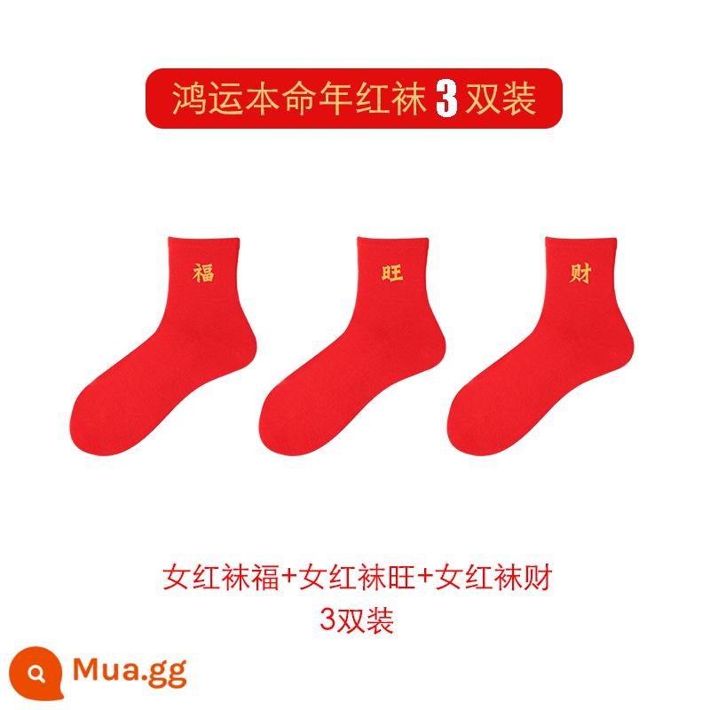 Hongyun SOCKS được định sẵn là năm của những con thỏ, vớ màu đỏ trung bình, chiếc vớ kết hôn bằng vải cotton mềm bằng ống nhỏ - [Tất nữ] Tài lộc + Thịnh vượng + Giàu có (3 đôi 5701)