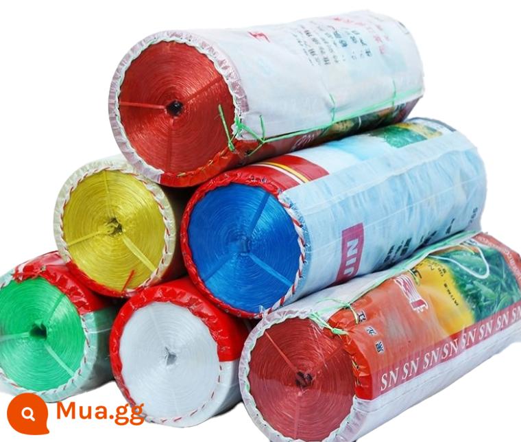 Dây nylon đóng gói dây nhựa dây ràng buộc dây ràng buộc chịu mài mòn bọc túi dây vật liệu mới toàn bộ gói dây ràng buộc - [Trắng 2 cm] Tấm 5 catties × 8 cuộn (40 catties) (sự khác biệt màu sắc có thể gây ra lỗi)