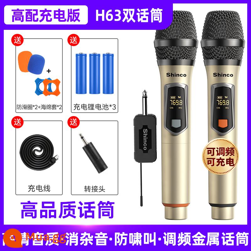 Micrô không dây, micrô và âm thanh karaoke gia đình tất cả trong một đặc biệt phổ thông một cho hai ktv hát bluetooth thu - [Phiên bản sạc cao cấp] Micro kép [kim loại, có thể điều chỉnh tần số, chống hú, khử tiếng ồn, chất lượng âm thanh độ phân giải cao]