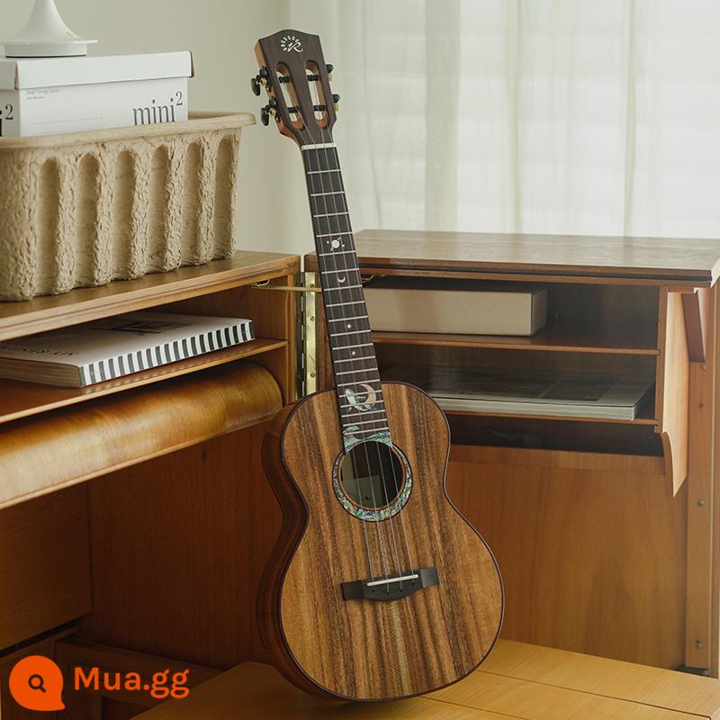 White Bear Music Acoustic Ukulele Xinghai Blue Whale đồng thương hiệu gỗ gụ gỗ keo toàn veneer cao cấp cao cấp - Veneer gỗ keo cá voi xanh