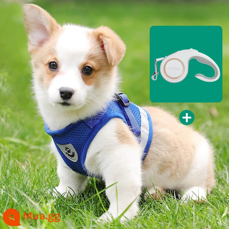 Áo vest loại dây xích chó nhỏ ngực chó túi đựng bé Teddy Corgi chó con chó con dây xích chó đi dạo dây ngực tàu sân bay - Dây kéo ống lồng tự động màu xanh + 3m