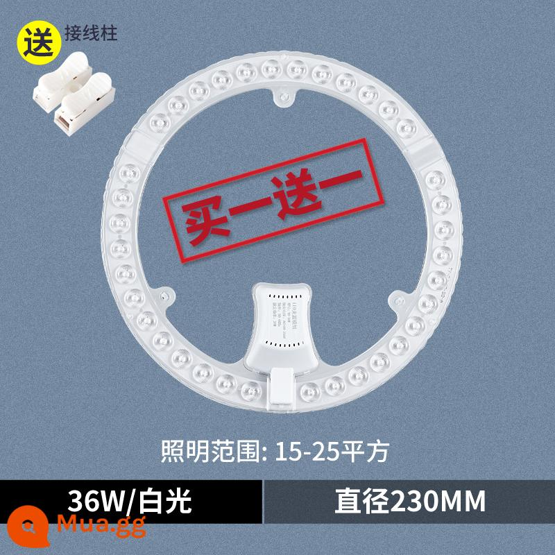 Đèn trần LED bấc đĩa thay thế đèn dải đèn bảng đèn LED bảng điều khiển đèn có vòng đèn bấc trần phòng ngủ - [Ánh sáng trắng độ sáng cao] Mô-đun vòng 36W 23cm (mua một tặng một)