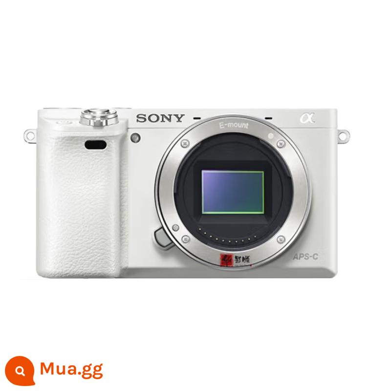 Sony/Sony A6000L nửa khung mục nhập video du lịch dành cho sinh viên đã qua sử dụng máy ảnh kỹ thuật số vi mô một mắt máy ảnh a6000 - 99 mới | A6000 màu trắng