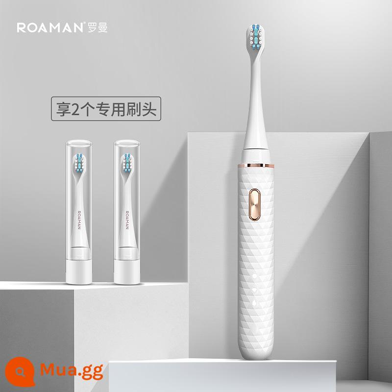 ROAMAN/Roman Có thể sạc lại tự động dành cho người lớn dành cho nữ Bàn chải đánh răng điện thông minh Sonic - Smart[Trắng][Có đầu bàn chải*2][Sản phẩm mới][Giảm giá có giới hạn]