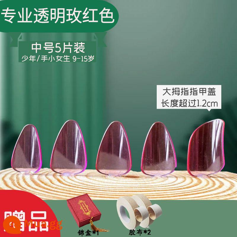 Người lớn và trẻ em trình độ đầu vào pipa nail kỳ thi chứng chỉ chuyên nghiệp chơi áo giáp celluloid trong suốt màu đồi mồi người mới bắt đầu kích thước trung bình - Hộp thổ cẩm chuyên nghiệp màu đỏ hồng size vừa (2 đôi) + 2 cuộn băng dính