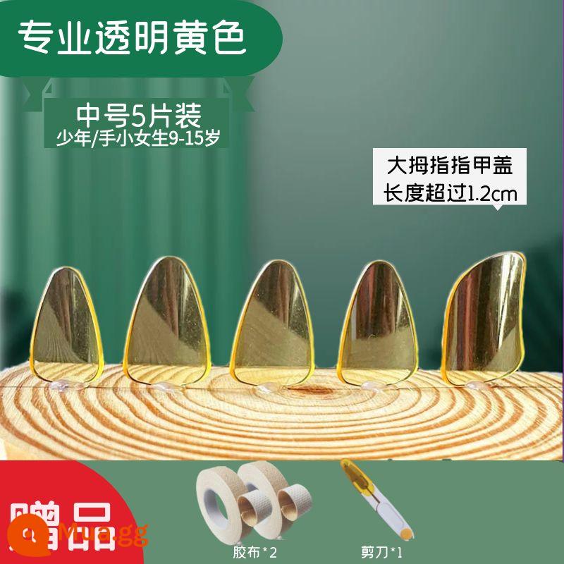 Người lớn và trẻ em trình độ đầu vào pipa nail kỳ thi chứng chỉ chuyên nghiệp chơi áo giáp celluloid trong suốt màu đồi mồi người mới bắt đầu kích thước trung bình - 2 cặp giấy màu vàng chuyên nghiệp + 2 cuộn băng dính + kéo