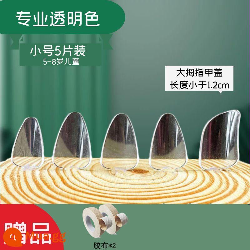 Người lớn và trẻ em trình độ đầu vào pipa nail kỳ thi chứng chỉ chuyên nghiệp chơi áo giáp celluloid trong suốt màu đồi mồi người mới bắt đầu kích thước trung bình - Kèn Trumpet trong suốt chuyên nghiệp + 2 cuộn băng dính