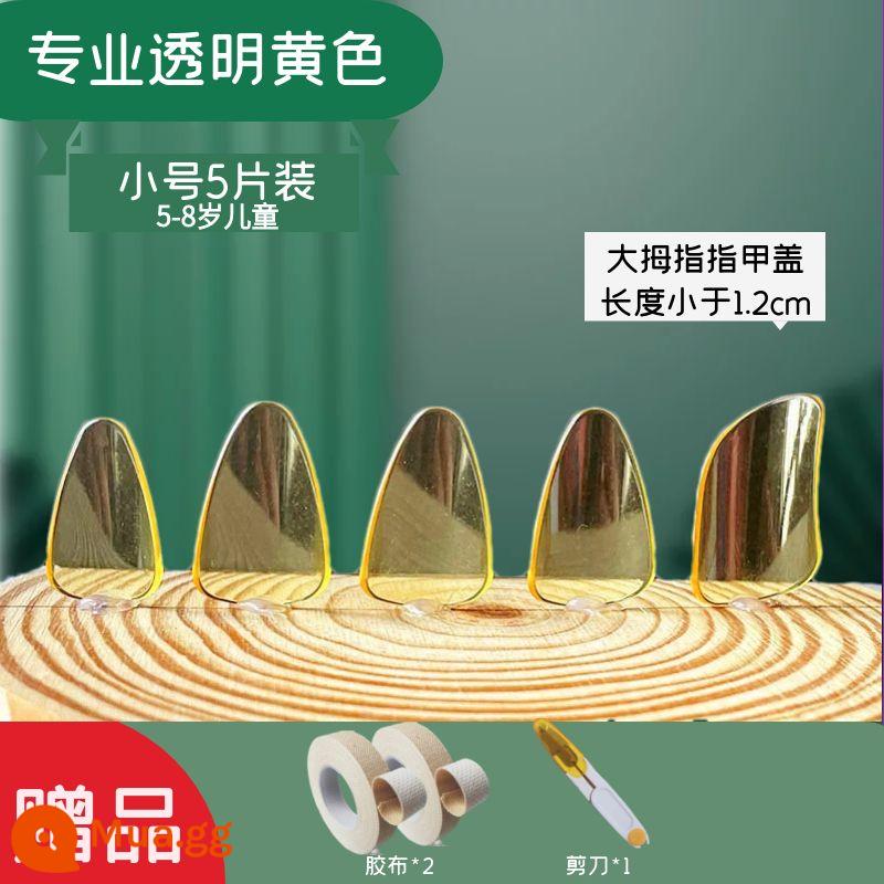 Người lớn và trẻ em trình độ đầu vào pipa nail kỳ thi chứng chỉ chuyên nghiệp chơi áo giáp celluloid trong suốt màu đồi mồi người mới bắt đầu kích thước trung bình - 2 cặp kèn vàng chuyên nghiệp + 2 cuộn băng dính + kéo