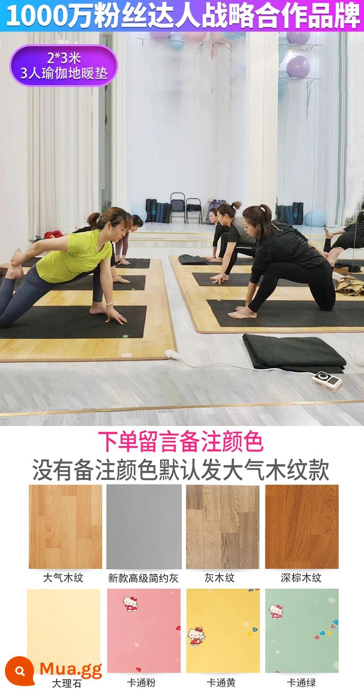 Thảm Tập Yoga Sàn Sưởi Ấm Hàn Quốc Graphene Carbon Tinh Thể Địa Nhiệt Điện Plus Làm Nóng Thảm Tập Yoga Thảm Nhà - Thảm sưởi sàn yoga graphene dành cho 3 người 2 * 3 mét