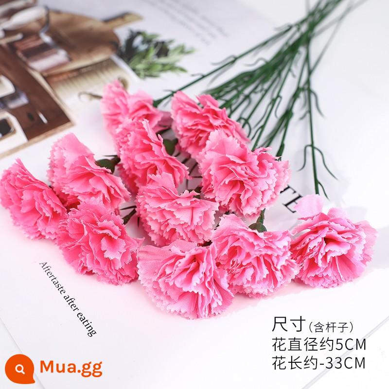 38 Ngày Phụ Nữ Tulip Mô Phỏng Hoa Hoa Hồng Trang Trí Bánh Cắm Ruy Băng Lưới Xung Quanh Lễ Hội Nữ Thần Ngày 8 Tháng 3 - Hoa hồng đỏ.Hoa cẩm chướng hồng 10 miếng