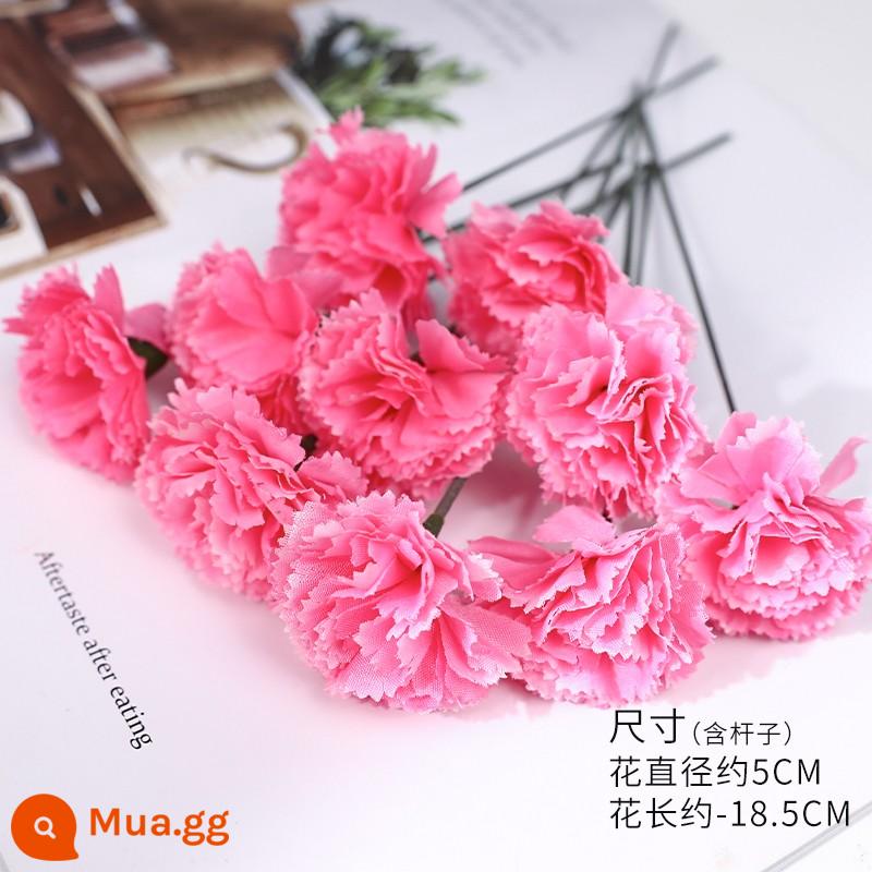 38 Ngày Phụ Nữ Tulip Mô Phỏng Hoa Hoa Hồng Trang Trí Bánh Cắm Ruy Băng Lưới Xung Quanh Lễ Hội Nữ Thần Ngày 8 Tháng 3 - 10 bông hoa cẩm chướng màu hồng.