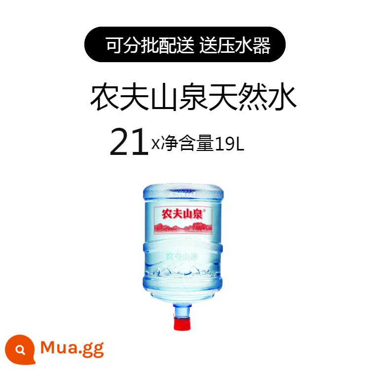 Giao nước Nam Kinh nước suối núi Nongfu nước đóng chai nước tinh khiết nước uống thùng lớn 19L nước khoáng cùng thành phố phân phối tự nhiên - Gói 21 thùng + máy ép nước (có thể chia thành nhiều đợt - mặc định sẽ tặng 2 thùng lần đầu tiên và đặt cọc 60 nhân dân tệ cho thùng chở khách mới)