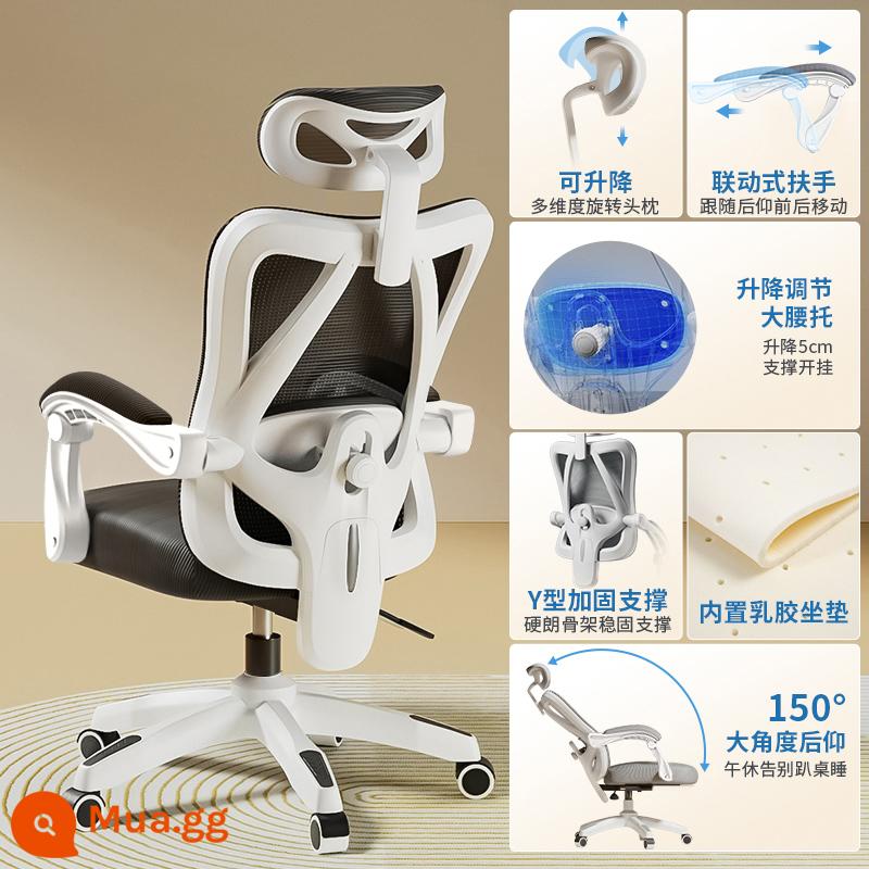 Ghế Ergonomic Ghế Máy Tính Văn Phòng Tại Nhà Ghế Thoải Mái Ít Vận Động Sinh Viên Thể Thao Điện Tử Ghế Phòng Ngủ Ghế Ngả Ghế - Mẫu nâng cấp [khung trắng và lưới đen] hỗ trợ thắt lưng có thể điều chỉnh/ngả lưng/không có chỗ để chân/cao su tích hợp