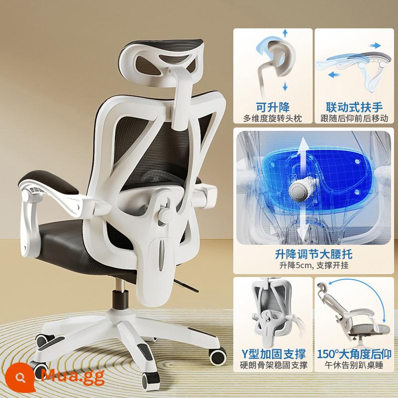 Ghế Ergonomic Ghế Máy Tính Văn Phòng Tại Nhà Ghế Thoải Mái Ít Vận Động Sinh Viên Thể Thao Điện Tử Ghế Phòng Ngủ Ghế Ngả Ghế - Model thoải mái [khung trắng và lưới đen] hỗ trợ thắt lưng có thể điều chỉnh/ngả/không có chỗ để chân