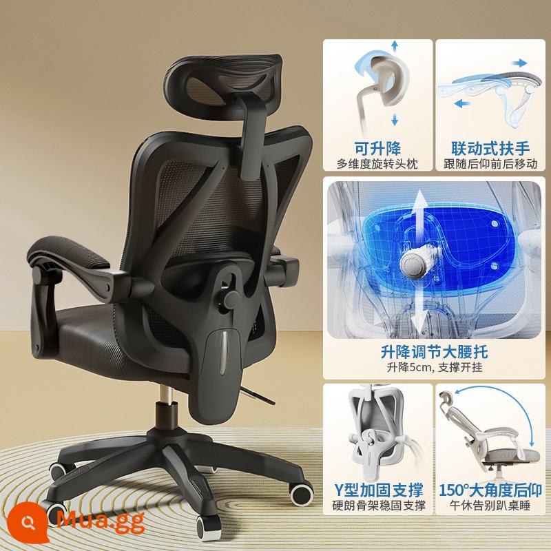 Ghế Ergonomic Ghế Máy Tính Văn Phòng Tại Nhà Ghế Thoải Mái Ít Vận Động Sinh Viên Thể Thao Điện Tử Ghế Phòng Ngủ Ghế Ngả Ghế - Model thoải mái [khung đen và lưới đen] hỗ trợ thắt lưng có thể điều chỉnh/ngả/không có chỗ để chân