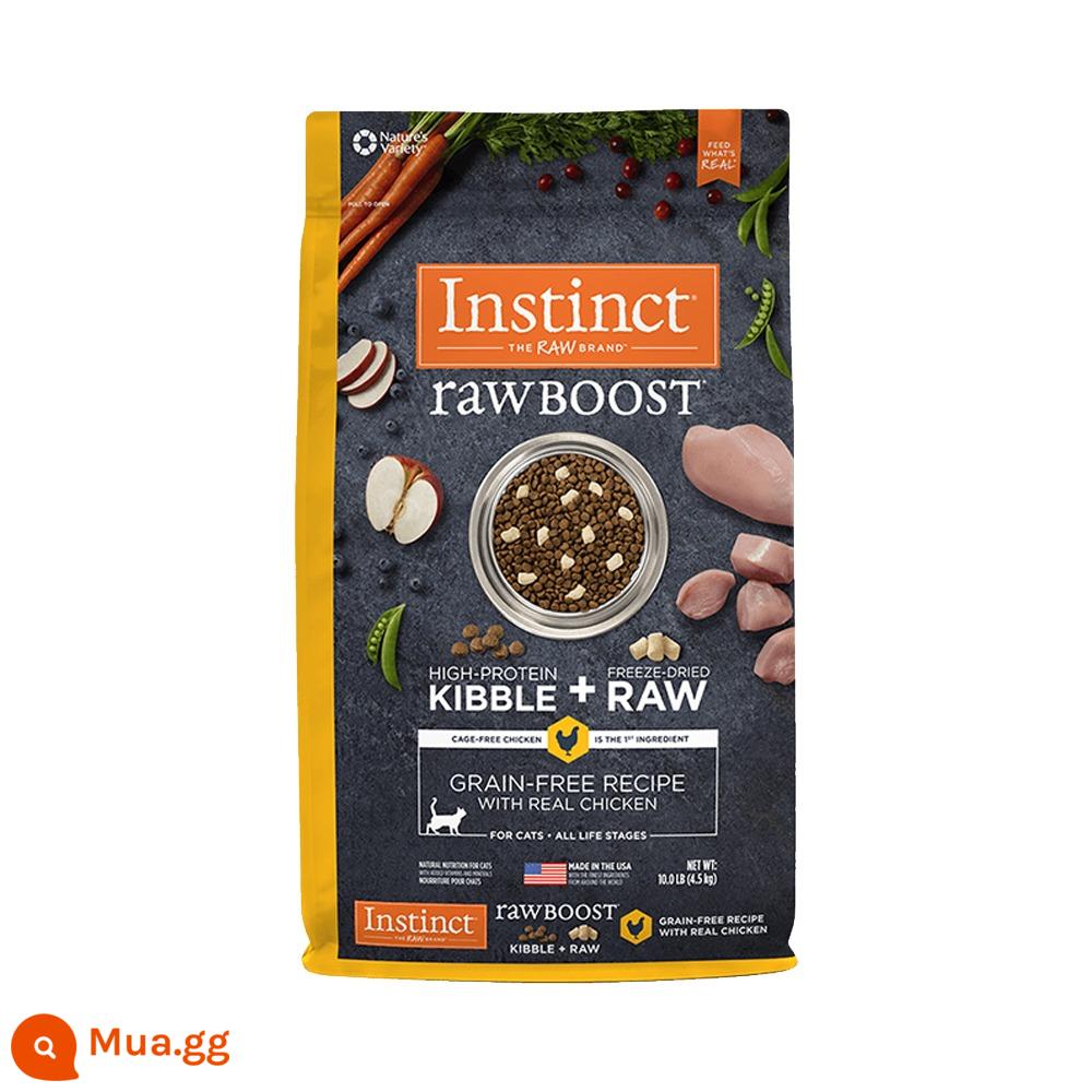 Thức ăn cho mèo Bailey bản năng Hoa Kỳ Thịt gà tươi đông lạnh 10 pounds Thức ăn cho mèo trưởng thành không hạt nguyên bản của Belle - Gà không hạt 5 pound [còn hàng] 1