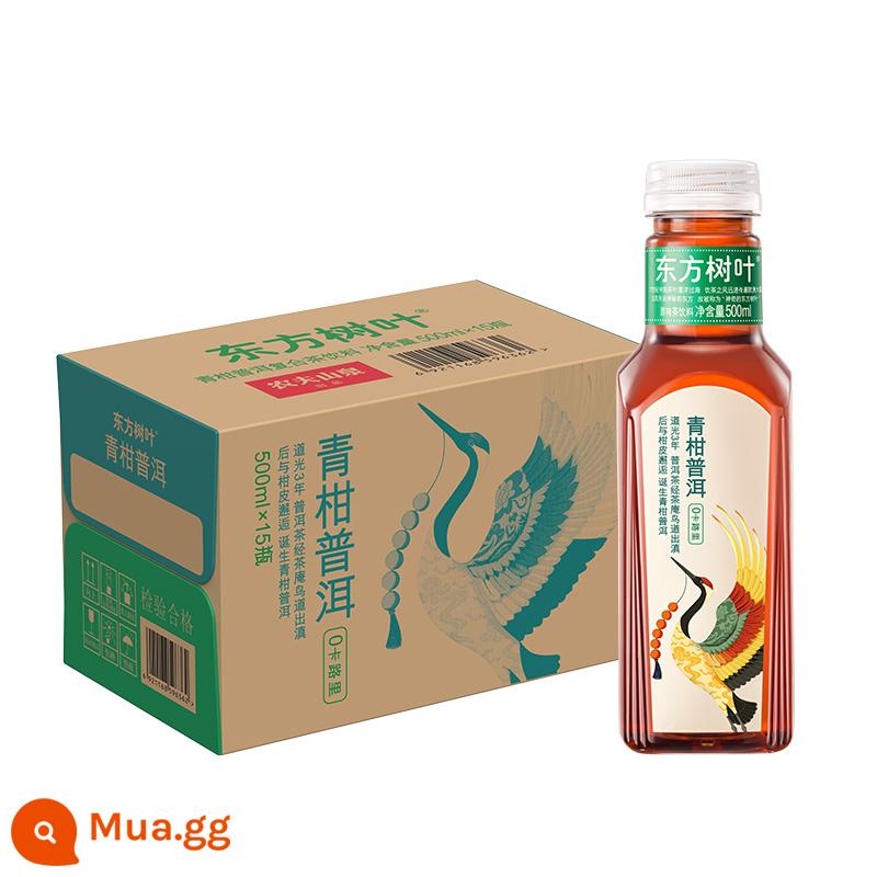 Nongfu Spring Oriental Leaf Tea Trà xanh Citrus Puer 900ml * 12 Chai FCL 0 Calo Đồ uống trà không đường - Green Mandarin Pu'er 500ml*15 chai nguyên hộp