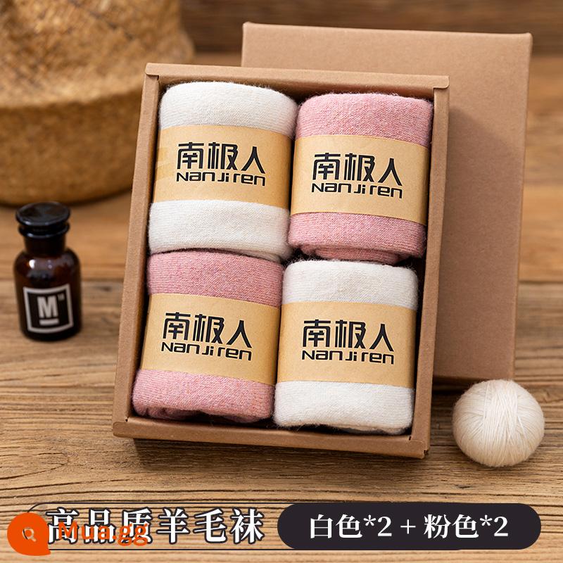 Vớ Nam Cực Len Nữ Mùa Đông Giữa Ống Vớ Cotton Nguyên Chất Plus Nhung Siêu Dày Ấm Thu Đông Khăn Vớ - Gói 4 [gói 4 đôi tất len ​​cao cấp 2588] 2 màu trắng + 2 màu hồng