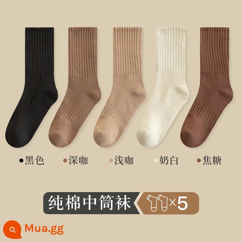 Vớ ống giữa của phụ nữ vớ mùa thu và mùa đông cotton nguyên chất dày cộng với vớ bong bóng nhung ống dài phụ nữ vớ cotton ấm vớ mùa đông - 5 đôi [3316 tất dày đến giữa bắp chân] 1 đen 1 cà phê đậm 1 cà phê nhạt 1 trắng sữa 1 caramel