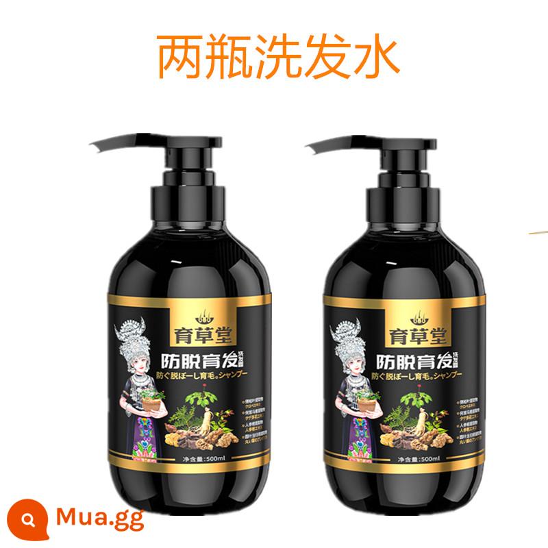 [Xác nhận của Zhu Haimei] Dầu gội chống rụng tóc Yucaotang, Polygonum Multiflorum Hair Growth chính thức Cửa hàng hàng đầu đích thực - [Gói Cải Tiến] 2 chai dầu gội