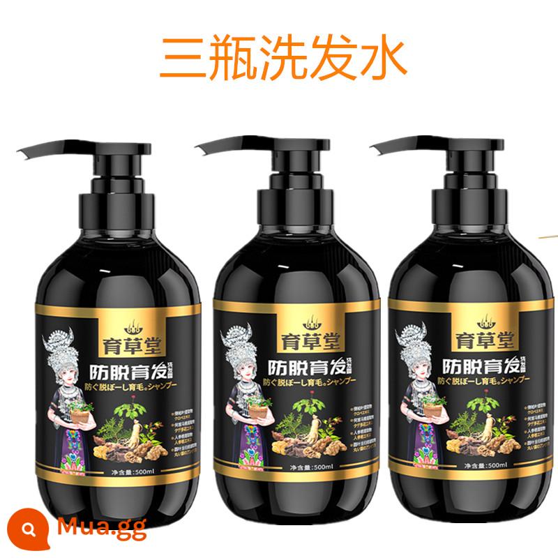 [Xác nhận của Zhu Haimei] Dầu gội chống rụng tóc Yucaotang, Polygonum Multiflorum Hair Growth chính thức Cửa hàng hàng đầu đích thực - [Gói chu kỳ] 3 chai dầu gội