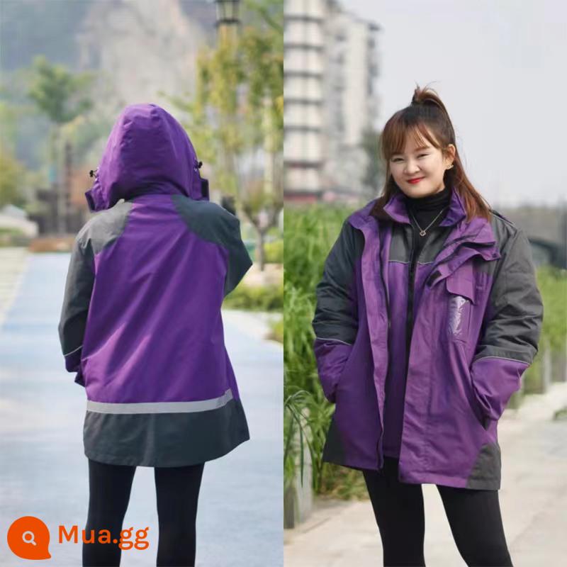 Máy chủ làm việc của Zhongtong Express Chongtong Jiechang Jacked Jacket Instant Spring và Autumn Winter Winter dày hai bộ phận tháo gỡ - xám tím