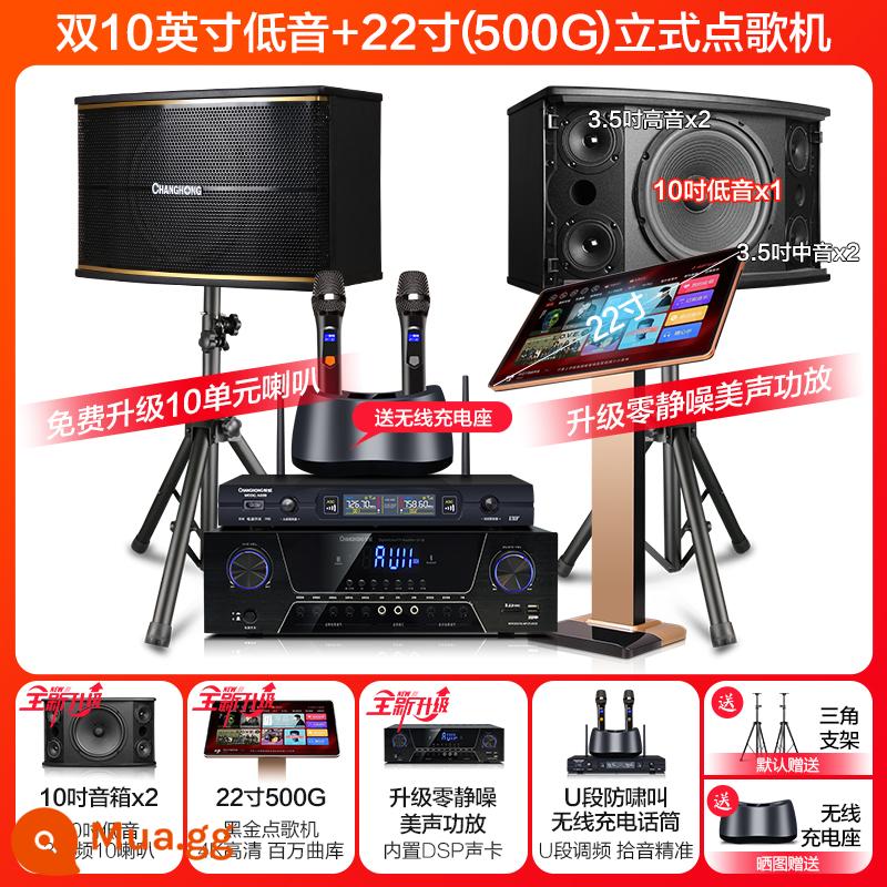 Changhong K9 nhà KTV âm thanh bộ hoàn chỉnh phòng khách nhà hát máy karaoke k bài hát karaoke okAll - Loa kép 10 inch ba chiều 10 loa + máy karaoke 22 inch 500G + micro không dây có thể sạc lại