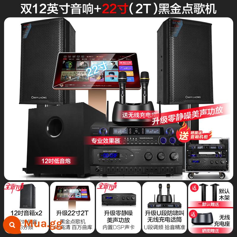 Changhong K10 House KTV Audio Đặt một bộ đầy đủ các bộ khuếch đại năng lượng nhà bài hát Karaokek Song - [19] Phiên bản kép cao cấp 12 inch + máy karaoke 22 inch 2T + pháo chủ động 12 inch + effector + micro sạc