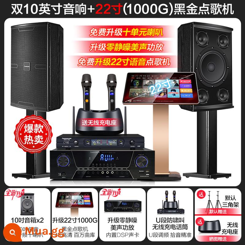 Changhong K10 House KTV Audio Đặt một bộ đầy đủ các bộ khuếch đại năng lượng nhà bài hát Karaokek Song - [10] Dual 10 inch ba chiều 10 chiếc + máy karaoke 22 inch 1T + micro hát có thể sạc lại