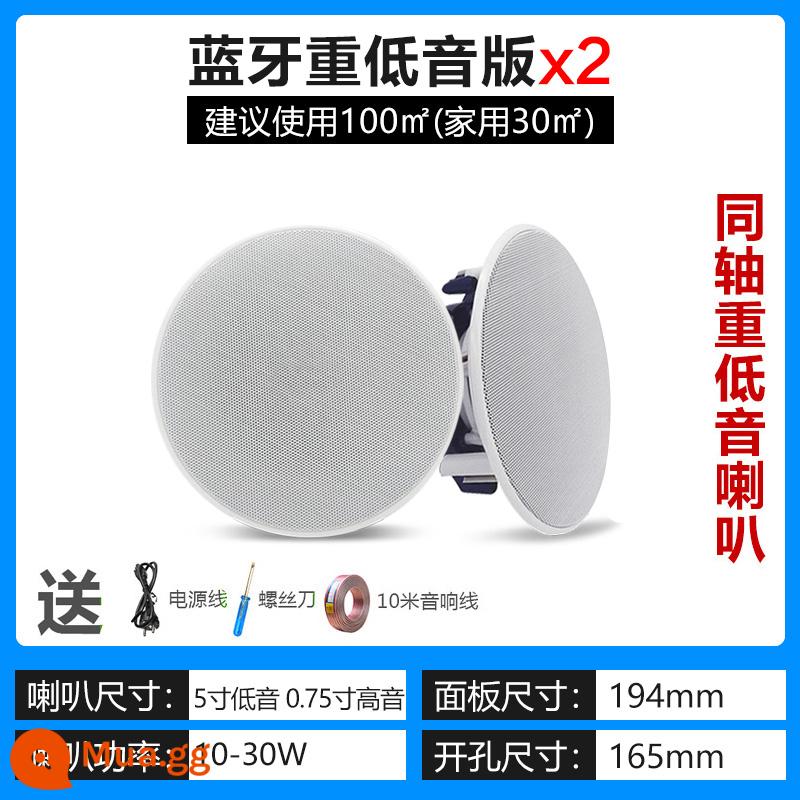 Trần Tmall Quốc Xiaodu Xiaoai Loa Bluetooth Không Dây WIFI Giọng Nói Thông Minh Điều Khiển Giọng Nói Loa Nhà Treo Trần - Loa Bluetooth DS925L + 1 sub-box không hỗ trợ điều khiển bằng giọng nói