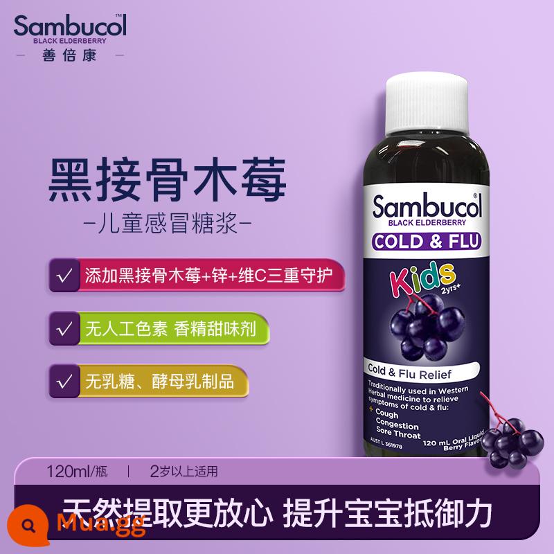 Của Úc Sambucol Shanbeikang quả cơm cháy đen nhỏ VC vitamin C kẽm bổ sung xi-rô miễn dịch - [Trẻ em] Recovery Syrup 120ml (tăng cường sức đề kháng và tăng tốc phục hồi)