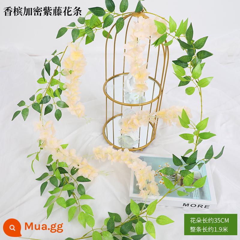 Mô phỏng Wisteria hoa hoa giả tím treo trần hoa cây nho trong nhà trang trí đám cưới mây nhựa dải hoa cây nho - Dải đậu tử đằng mã hóa màu rượu sâm panh 1 dải