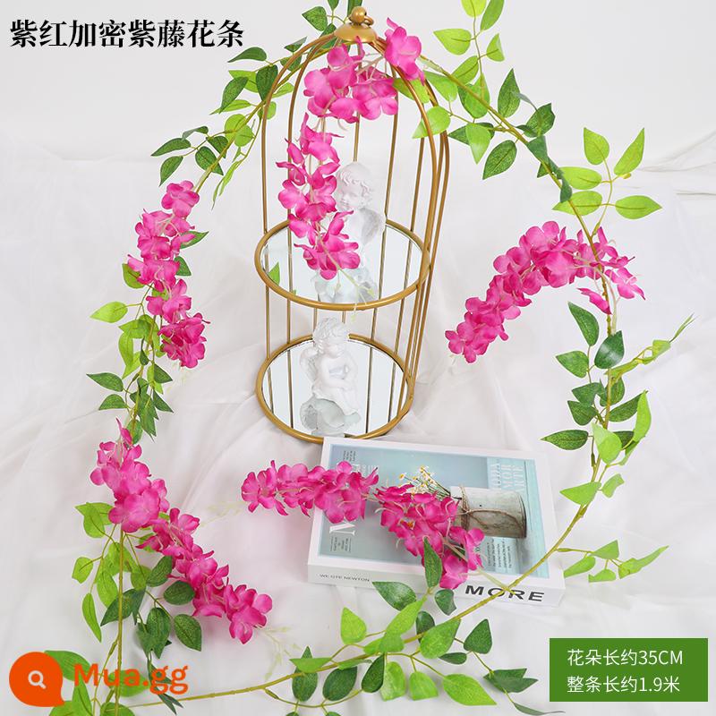 Mô phỏng Wisteria hoa hoa giả tím treo trần hoa cây nho trong nhà trang trí đám cưới mây nhựa dải hoa cây nho - Dải hoa tử đằng mã hóa màu đỏ tím 1