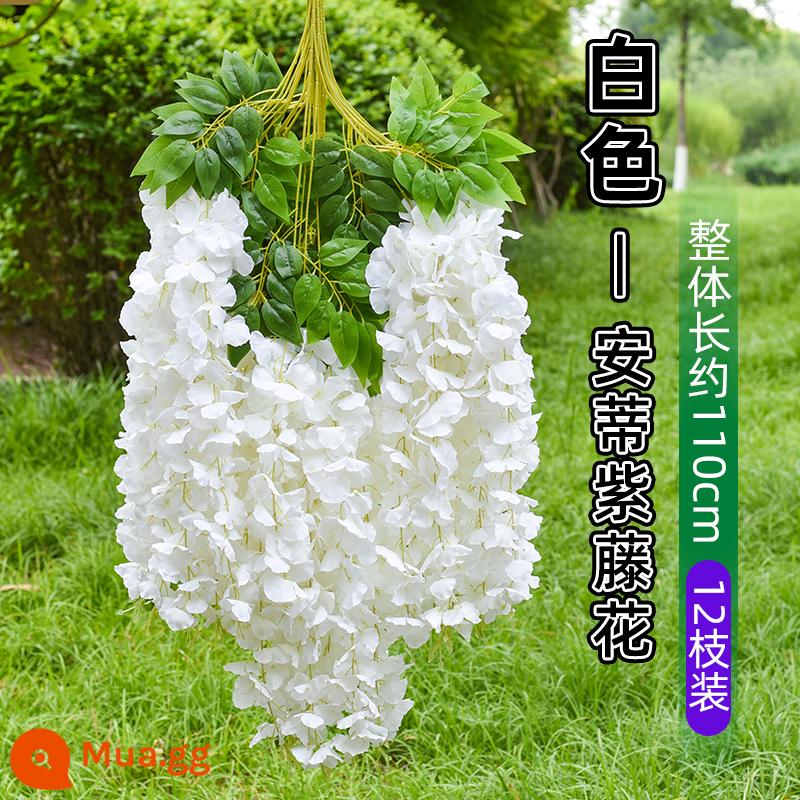 Mô phỏng Wisteria hoa hoa giả tím treo trần hoa cây nho trong nhà trang trí đám cưới mây nhựa dải hoa cây nho - Wisteria cổ [siêu đậm đặc] màu trắng (6 miếng)