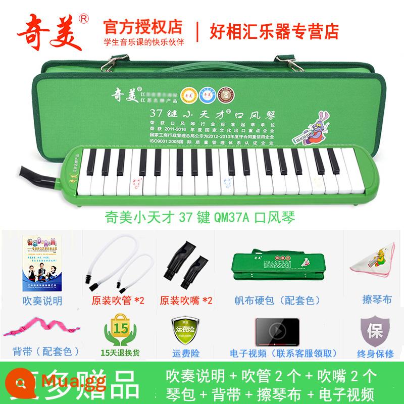 Chimei melodica 32 phím 37 phím 36 phím 41 trẻ em mới bắt đầu học sinh tiểu học dành riêng cho người lớn nhạc cụ biểu diễn chuyên nghiệp - 37 phím màu xanh lá cây (túi cứng canvas Little Genius) + giáo cụ + ống thổi dự phòng