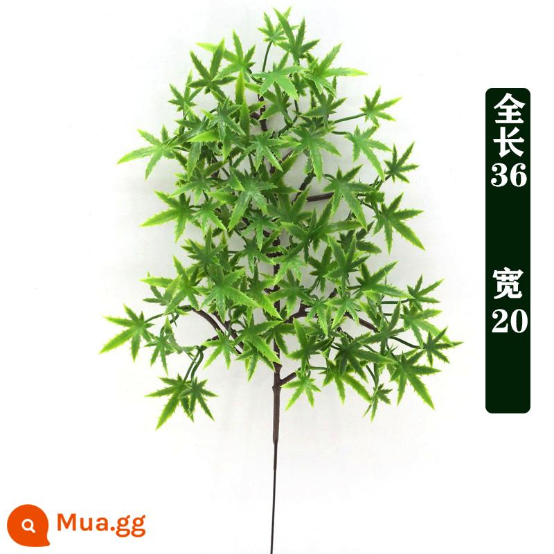 Mô phỏng lá thông đón cành thông Luo Hansong hoa nhựa thông bách cảnh cành giả làm đẹp lá thông lá thông - Green Maple (tặng 1 cho đơn hàng trên 10)