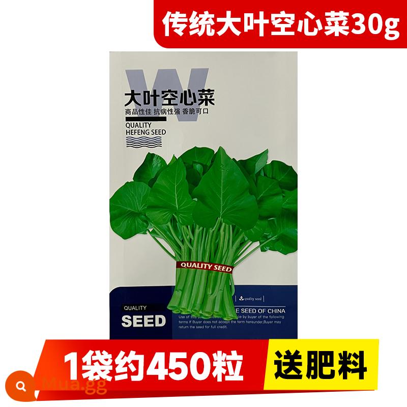 Hạt giống rau muống ba chĩa cho ban công bốn mùa trồng hạt giống rau, hạt mì ống thủy canh lá to và cây giống năng suất cao - [Khả năng kháng bệnh mạnh] Rau muống lá lớn truyền thống 30g (khoảng 450 con trong 1 túi, không bón phân)