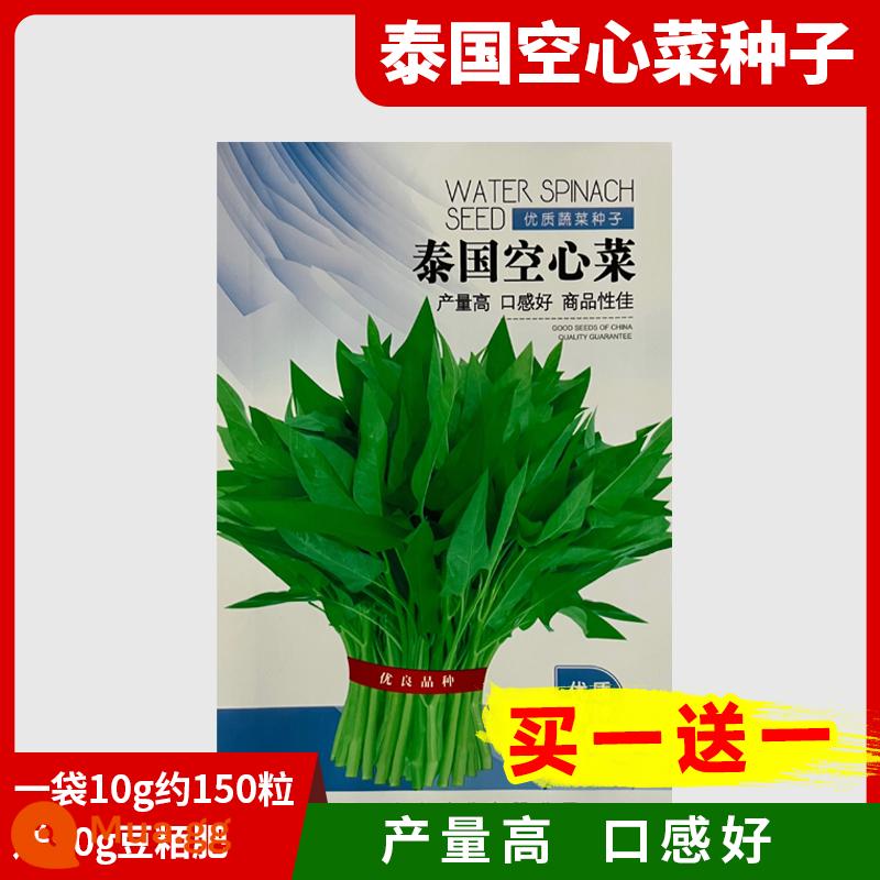 Hạt giống rau muống ba chĩa cho ban công bốn mùa trồng hạt giống rau, hạt mì ống thủy canh lá to và cây giống năng suất cao - [Mua 1 tặng 1] Hạt giống rau muống Thái 10g + phân bón đậu nành 50g