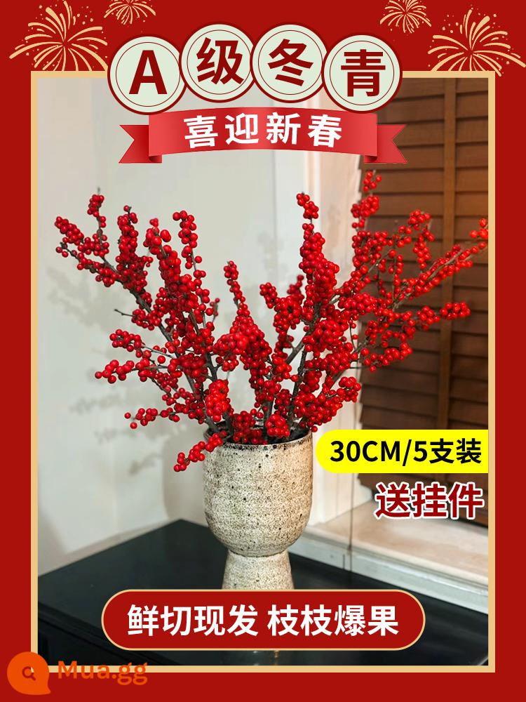 Inch Hoa Vàng Cây thủy canh Forsythia Cành khô Cắm hoa Phòng khách Cành tươi Thủy canh Hoa tươi cắt đêm giao thừa - Nhựa ruồi đỏ cao cấp loại A 30 cm/5 miếng + mặt dây chuyền