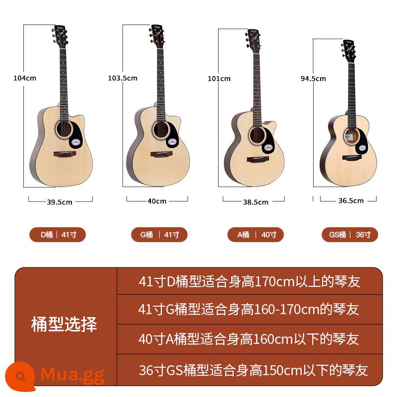 sagasf600 guitar cho người mới bắt đầu saga saga600 ballad hộp điện 41 inch log guitar nam và nữ - Phải đọc trước khi mua